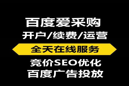 某大型企业选择SEM竞价代运营公司的决策过程与效果评估